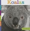 Koalas