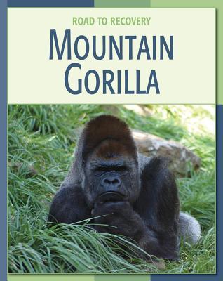 Mountain Gorilla (21st Century Skills Library: Road to Recovery)