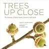Trees Up Close: The beauty of bark, leaves, flowers, and seeds