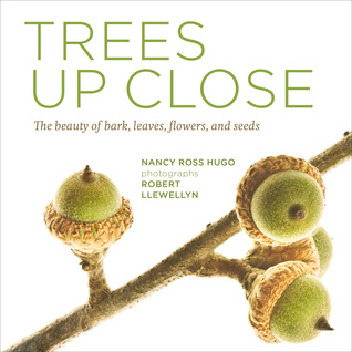 Trees Up Close: The Beauty of Their Bark, Leaves, Flowers, and Seeds (Seeing Series)
