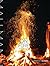 Mallmann on Fire: 100 Inspired Recipes to Grill Anytime, Anywhere
