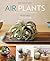 Air Plants: The Curious Wor...