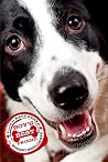 Boy's Best Friend by Kate Banks