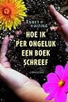 Hoe ik per ongeluk een boek schreef by Annet Huizing