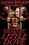 Little Dove by Jaden Wilkes