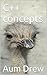 C++ concepts by Aum Drew