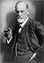 Classic Psychology: three books by Freud in English translation