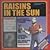Raisins in the Sun