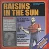 Raisins in the Sun by NOT A BOOK