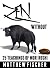 Zen Without Bullshit by Matthew Fischer
