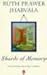 Shards of Memory