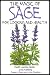 The Magic of Sage For Cooking and Health