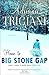 Home to Big Stone Gap by Adriana Trigiani
