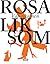 Väliaikainen by Rosa Liksom