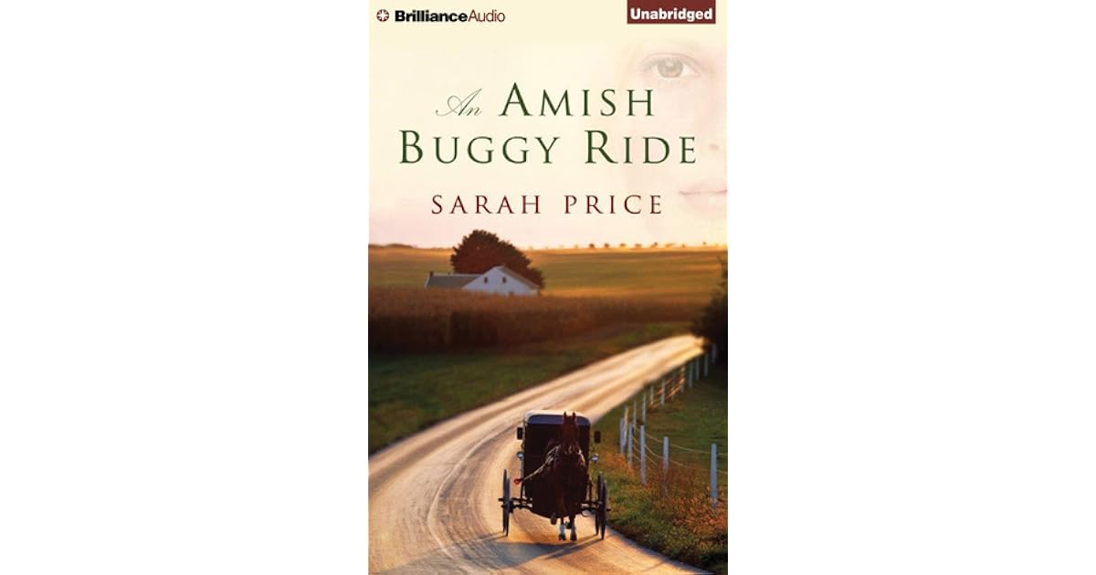Diana S Review Of Amish Buggy Ride An
