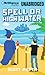 Spell or High Water (Magic 2.0, #2)
