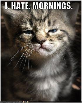 I Hate Mornings