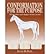 Conformation for the Purpose: The Make, Shape and Performance of the Horse