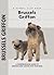 Brussels Griffon