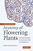 Anatomy of Flowering Plants: An Introduction to Structure and Development