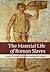 The Material Life of Roman Slaves