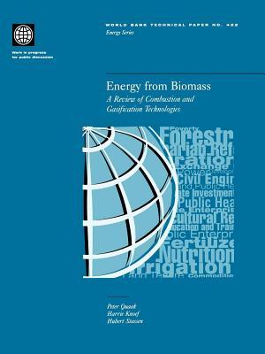 Energy from Biomass: A Review of Combustion and Gasification Technologies