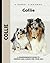 Collie