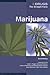 Marijuana. Drugs: The Strai...