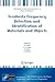 NATO Science for Peace and Security Series - B: Physics and Biophysics: Terahertz Frequency Detection and Identification of Materials and Objects