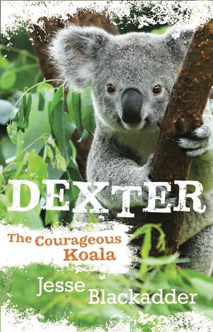 Dexter the Courageous Koala