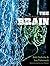 Brain: Big Bangs, Behaviors, and Beliefs