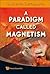 A Paradigm Called Magnetism by Sushanta Dattagupta