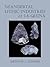 Neandertal Lithic Industries at La Quina