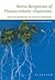Stress Responses of Photosynthetic Organisms: Molecular Mechanisms and Molecular Regulations