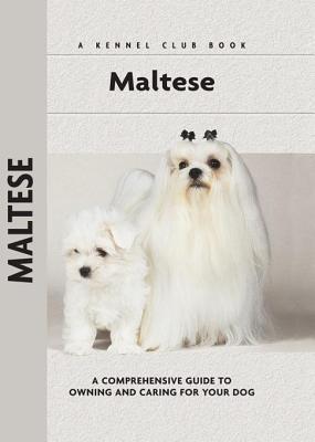 maltese kennel
