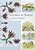 Gardens in History: A Polit...