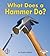 What Does a Hammer Do? (First Step Nonfiction: Tools at Work)