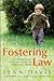 Practical Guide to Fostering Law: Fostering Regulations, Child Care Law and the Youth Justice System