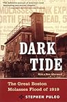 Dark Tide by Stephen Puleo