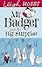 MR Badger and the Big Surprise