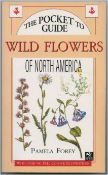 Pocket Guide to Wild Flowers of North America (Paperback)