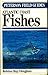 A Field Guide to Atlantic Coast Fishes of North America by C. Richard Robins