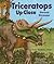 Triceratops Up Close: Horne...