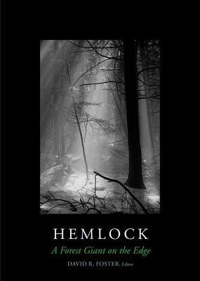Hemlock: A Forest Giant on the Edge