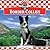 Border Collies