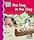 The Frog in the Clog
