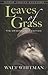 Leaves of Grass: The Original 1855 Edition