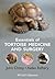 Essentials of Tortoise Medicine and Surgery by John Chitty