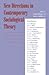 New Directions in Contemporary Sociological Theory by Joseph Berger