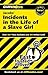 Cliffsnotes on Jacobs' Incidents in the Life of a Slave Girl
